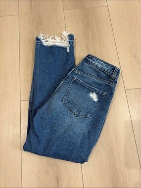 Flying Monkey Distressed Cropped Ankle Jeans